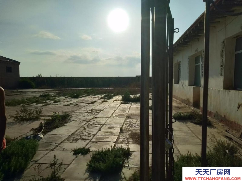 (出租) 庫房高四米，院地面用水泥鋪的后院彩鋼頂蓋好的羊圈，院墻用磚蓋