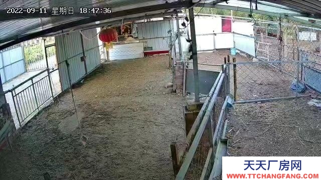 (出租) 五原廠房 蠻克素東500米國道旁 養殖場