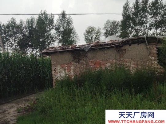 蘭西土地類型是可建廠，養殖，加工。