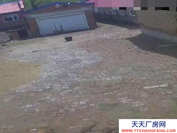 蘭西肖天洞村現有豬場，設備齊全，