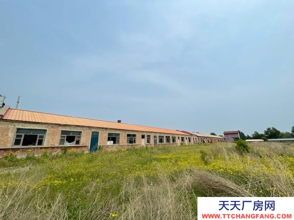 蘭西榆林鎮202國道50米處15000平電子廠房