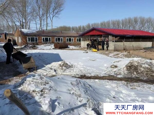 蘭西現有豬場，設備齊全