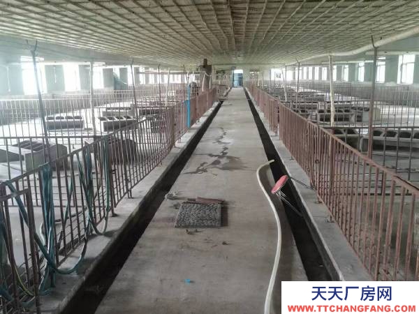 安達可養殖，可辦廠！交通便利