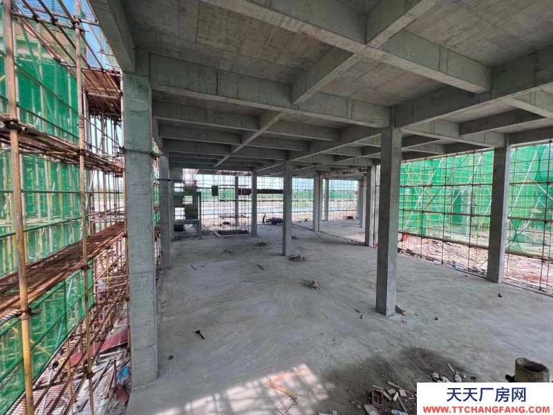 嘉興獨棟廠房出售首付100萬起(非中介)