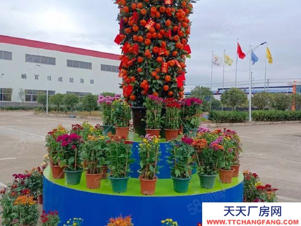 贛州市尋烏電子廠房  尋烏花園式廠房出租，可生產五金.電子等各種重型工業，倉儲物流