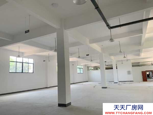 九江市潯陽糕點廠房  出租濱江路廠房，帶電梯，可辦公可做倉庫，價格面議