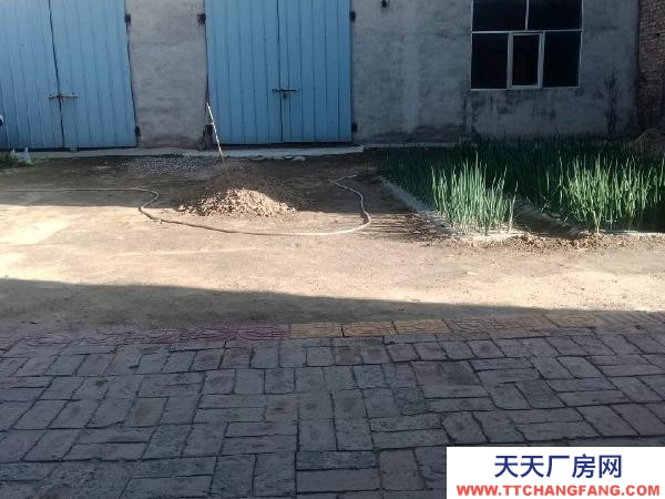 大通獨院出租共計1000平米大車出入方便院內光線好