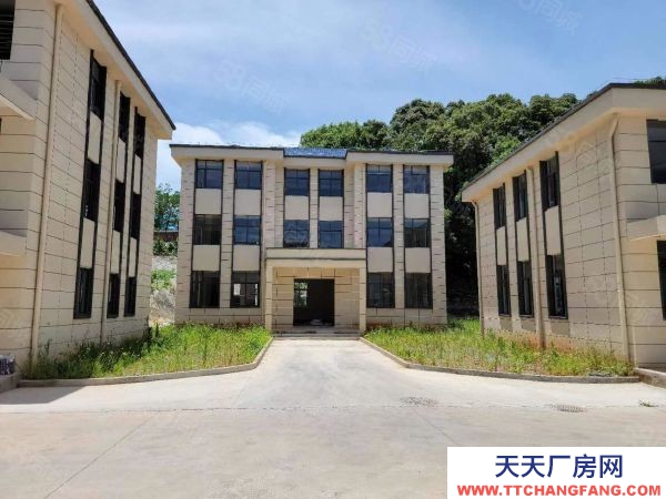 九江市潯陽物資倉庫 潯陽區智慧倉庫3000平可分租配套齊全交通方便