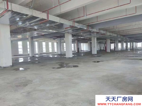 九江市潯陽物資倉庫  帶免租園區倉庫對外直招 無轉讓費 隨時可入駐