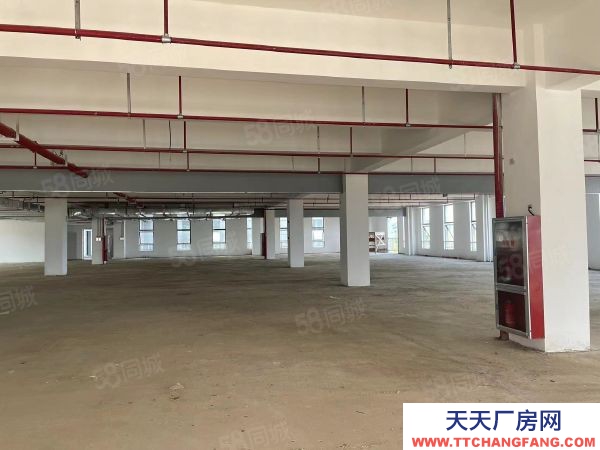 九江市潯陽物資倉庫 帶免租園區倉庫對外直招 無轉讓費 隨時可入駐