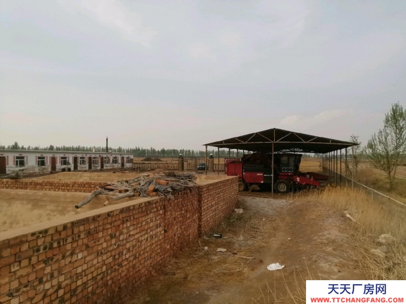 (出售) 巴彥淖爾標準化養殖出售轉讓 生意轉讓 配套設施齊全 個人房源