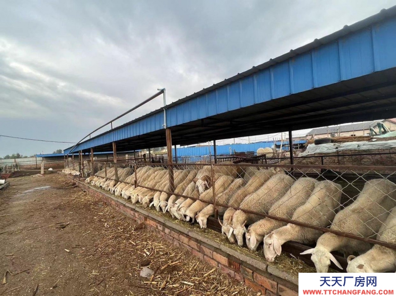 (出售)巴彥淖爾 租售養(yǎng)殖場(chǎng)收購(gòu)庫(kù)房10畝左右