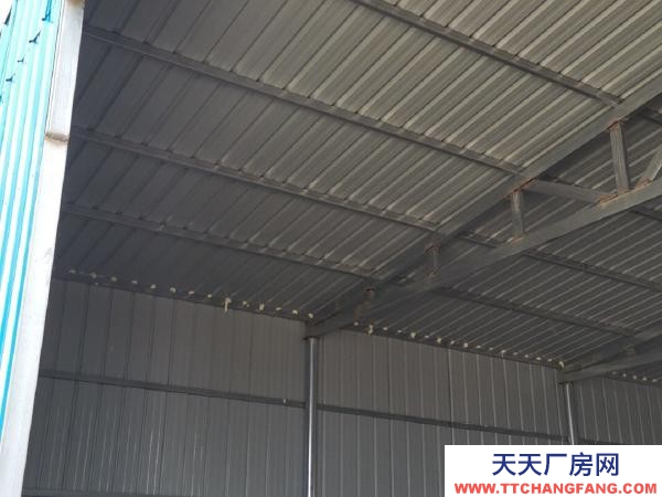 (出租) 鋼結構廠房，可以做庫房廠房，三相電，水齊全