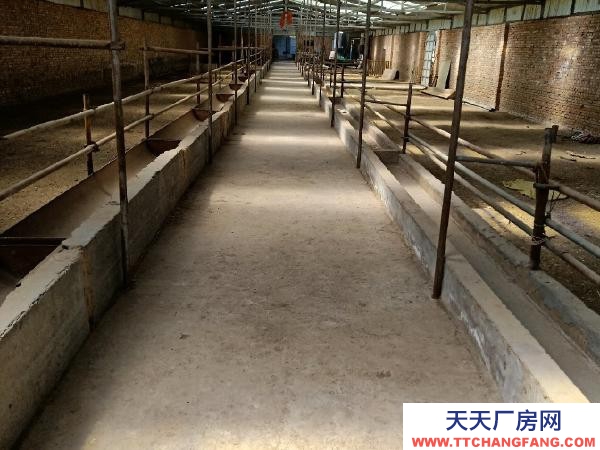 湟中出售自家養殖場條件優越，地址是高店下營鄉，交通便利！