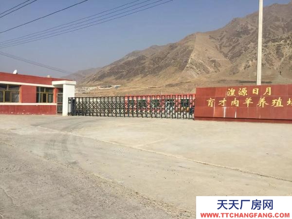 湟源日月標準化牛羊養殖場低價出售