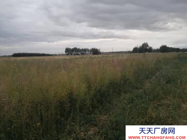 德令哈可用庫房 有溫棚可種菜使用 交通便利