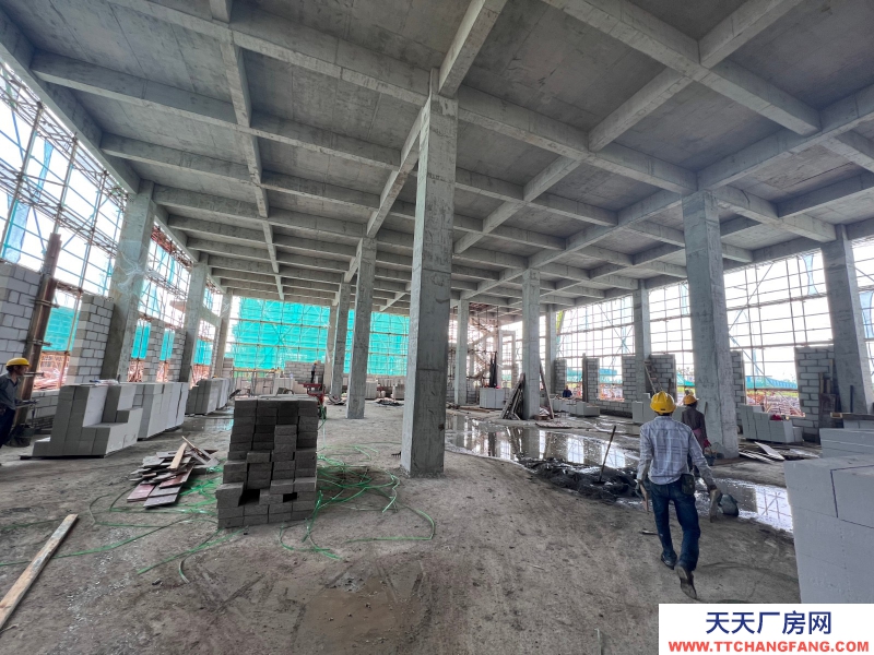 嘉興海鹽獨棟2-3層全新廠房出售