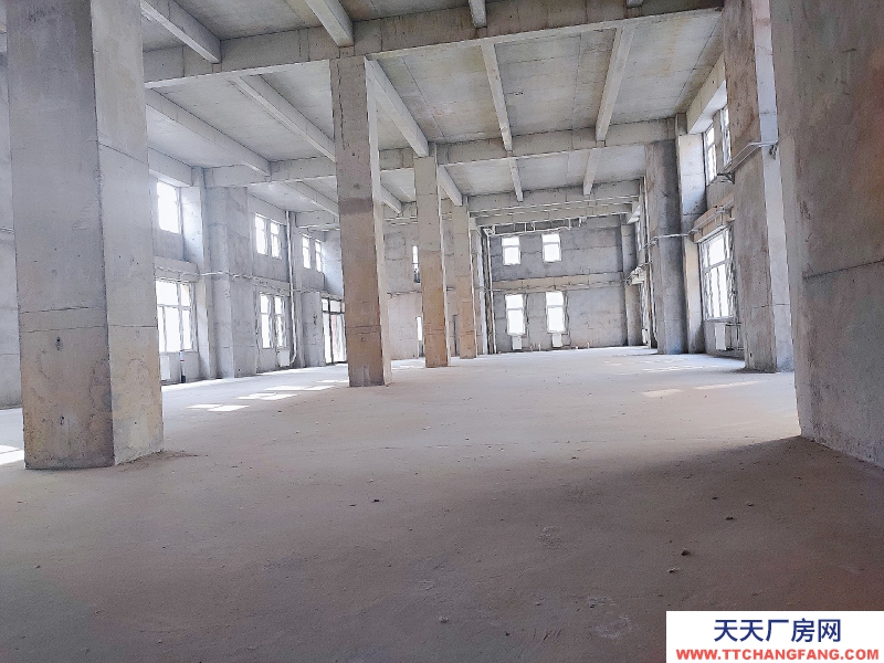 國家級園區、整棟帶院、非中介、