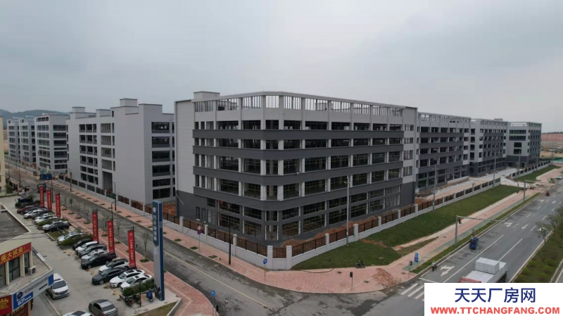 買廠房 找萬洋 量身定制 首付20% 15323144787