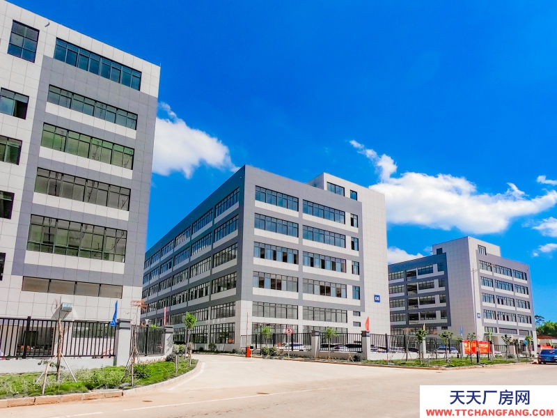 買廠房 找萬洋 量身定制 首付20%