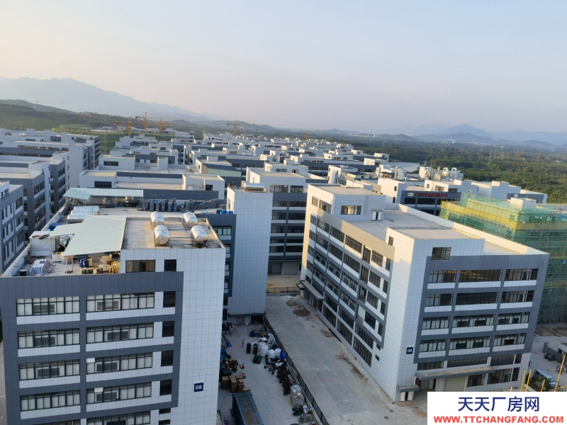 出售50年產權獨門獨院廠房