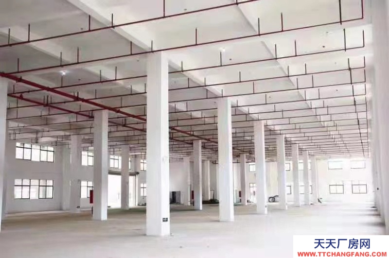 出售50年產權獨門獨院廠房