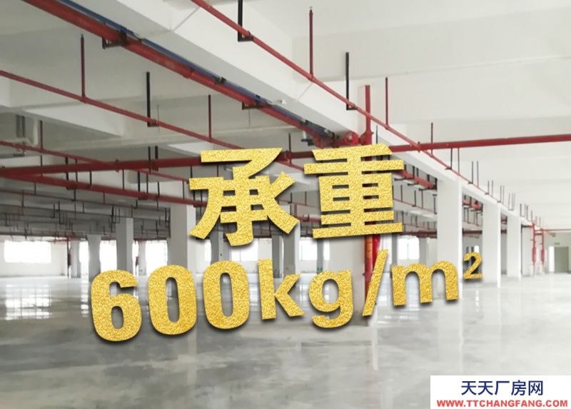 出售全新獨(dú)院廠房， 50年產(chǎn)權(quán)，已做丙類消防，有噴淋，價格2500元/方起