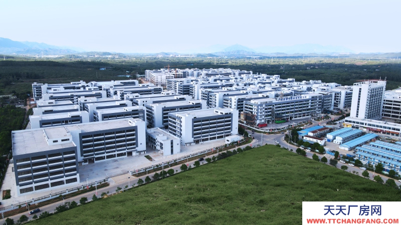 買廠房 找萬洋 量身定制 首付20%