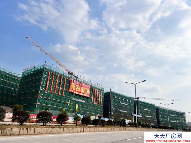 獨棟廠房 按需定制 獨門獨戶 50年獨立產權