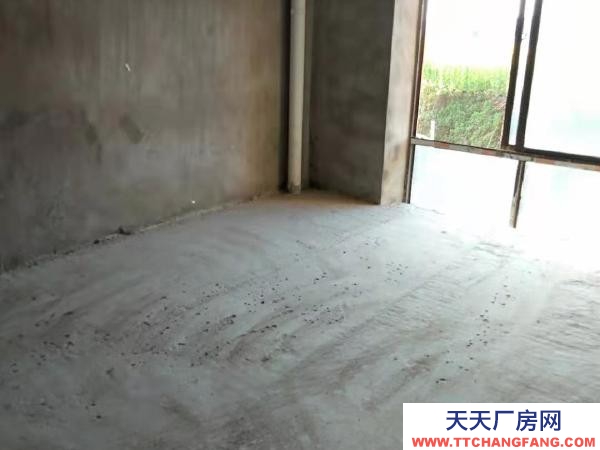 九江市彭澤物資倉庫 龍鼎大市場內，一至三層可全租或分層出租