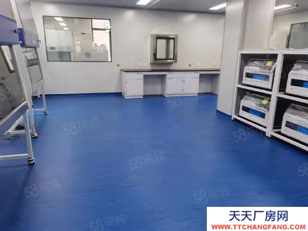 和平滿融800平制藥廠房科技型產業租金減免，一樓7.2舉架生產研發。