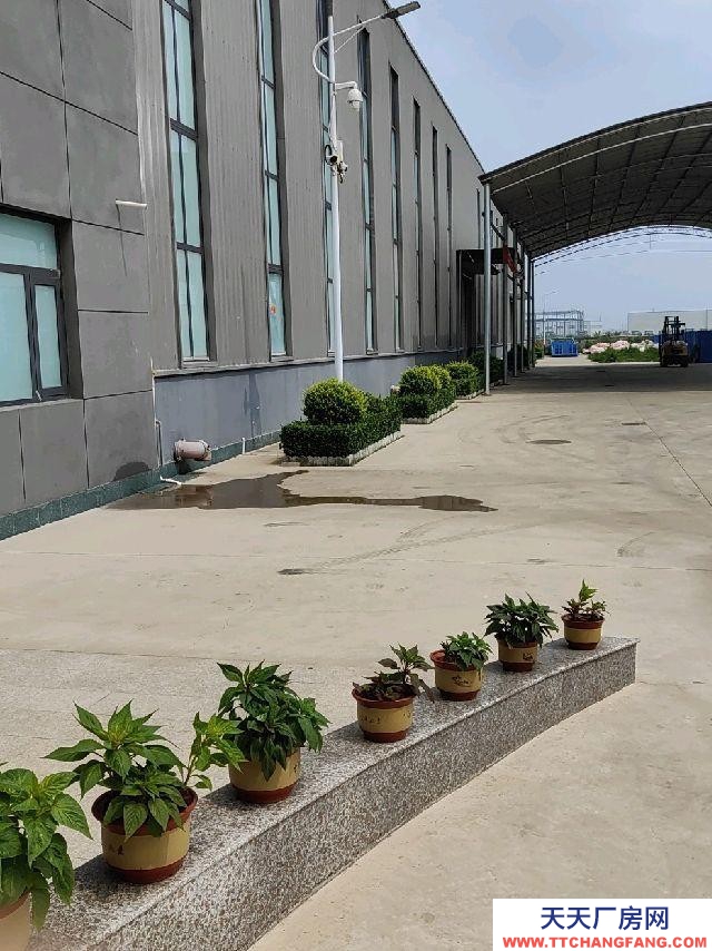 定州 西城(飲料廠房出租) 地理位置優越，離定州西高速口1