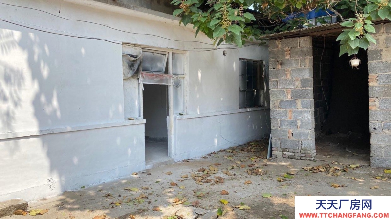 定州 西城(出租) 正房四間 東西兩側(cè)配房可做倉(cāng)庫(kù)