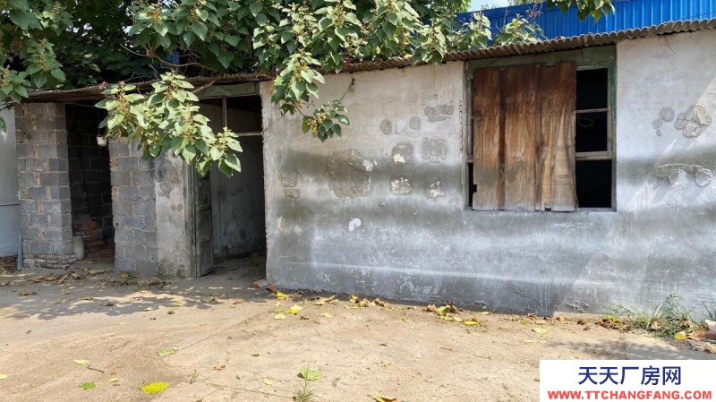 定州 西城(出租) 正房四間 東西兩側(cè)配房可做倉(cāng)庫(kù)