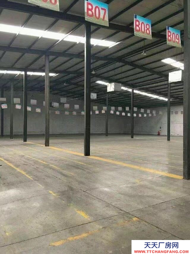 定州 北城(出租) 定州市伊利乳業北部庫房對外出租