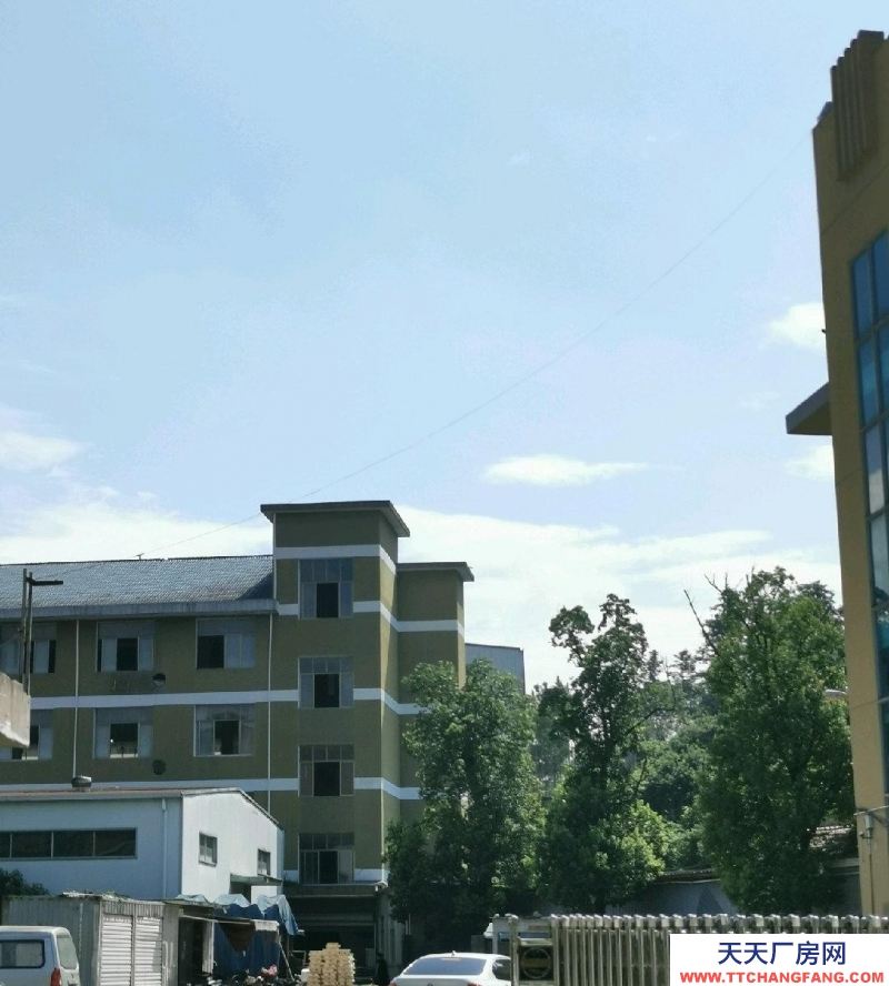 臺州市仙居(出租) 工藝品城大馬路邊位置好，入出方便整租，獨門獨戶 水果制品