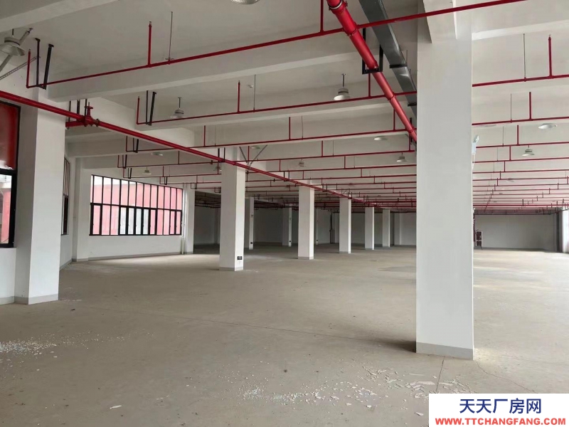 臺州市仙居(出租) 1萬多平方高速公路旁邊(新廠房出租、交通便利,具體面談 酒類