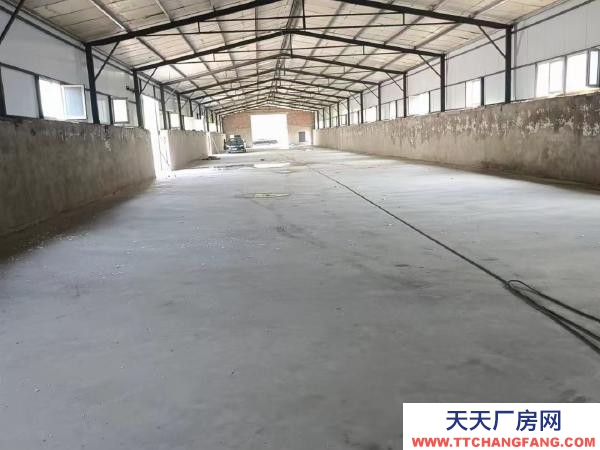 蘇家屯一棟1600平,共4棟