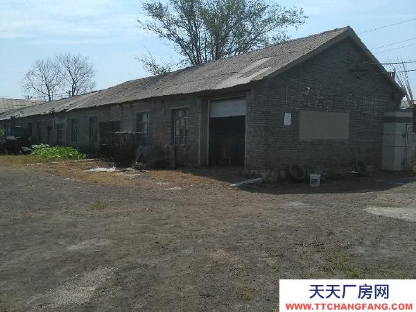 遼中實際面積4560平米，帶100延米門市，位于鎮中心