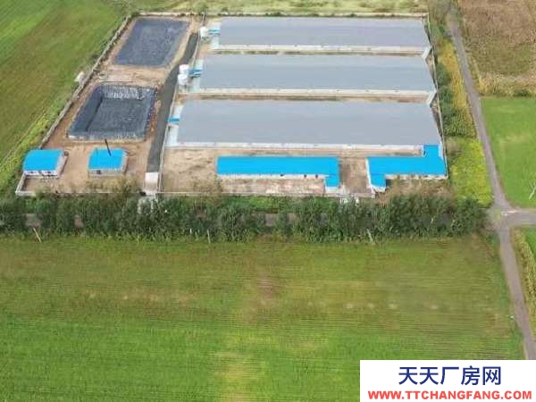 遼中年建養豬場，設施齊全，豬舍面積5500平，占地20畝