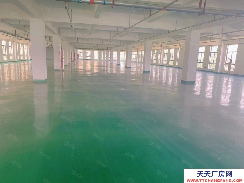 (出租) 東關(guān)產(chǎn)業(yè)園 廠房倉庫 200至2500方 可辦環(huán)評 可輕加