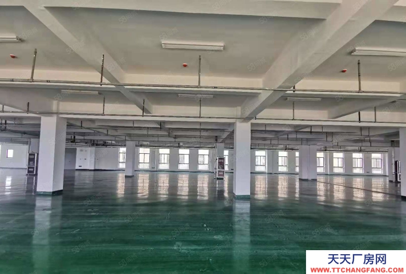 (出租) 標(biāo)準(zhǔn)化廠房200方至5000方 地坪墻面已完善 三相電入戶