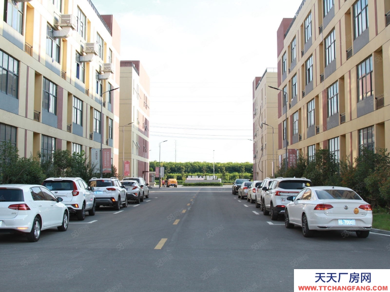 (出租) 新出廠房340平 雙貨梯 三相電 可生產可辦公可倉儲 政策好