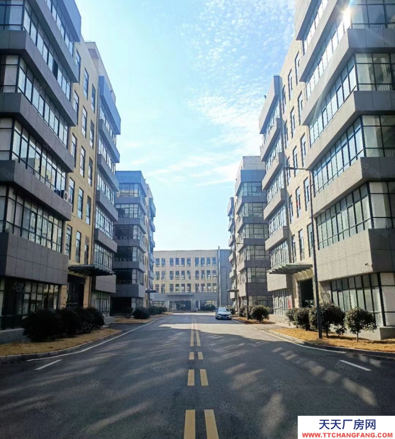 (出租) 新出廠房340平 雙貨梯 三相電 可生產可辦公可倉儲 政策好