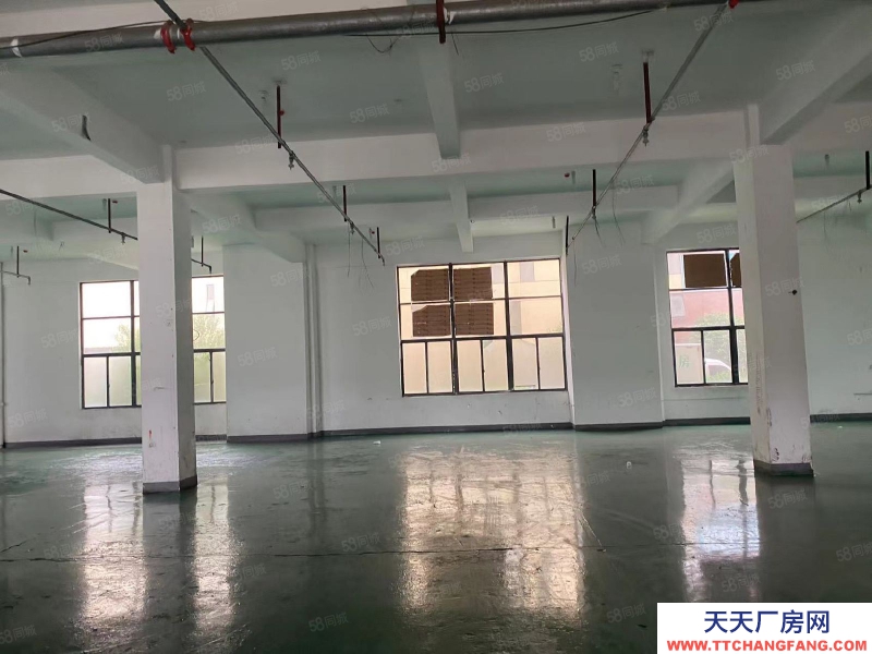 (出租) 一樓960平倉庫廠房 可進大車 三相電 水電齊全