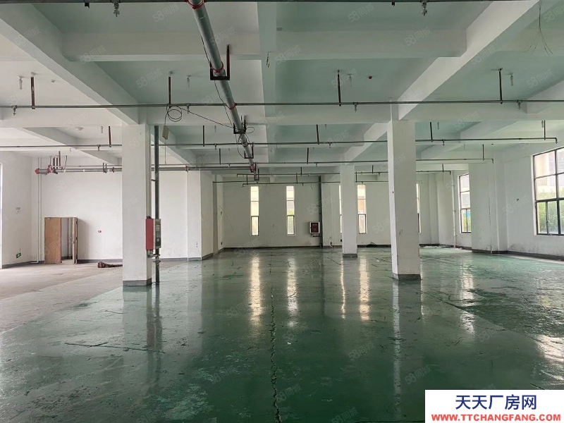 (出租) 一樓960平倉庫廠房 可進大車 三相電 水電齊全