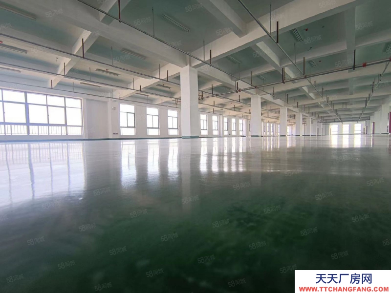 (出租) 2500方大平層廠房倉庫 雙貨梯客梯 三相電 消防已過