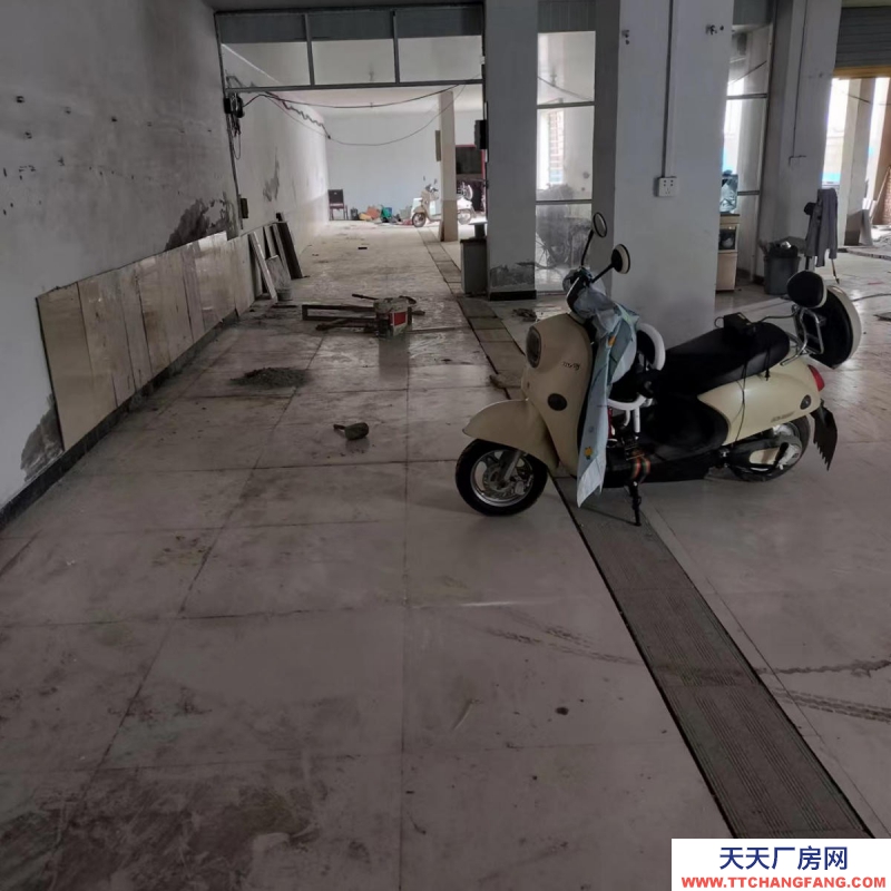 (出租) 306省道路邊，有動力電，出入方便，距離高速路入口近