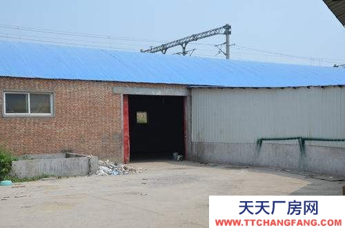 (出租) 衛生間 臥室廚房齊全