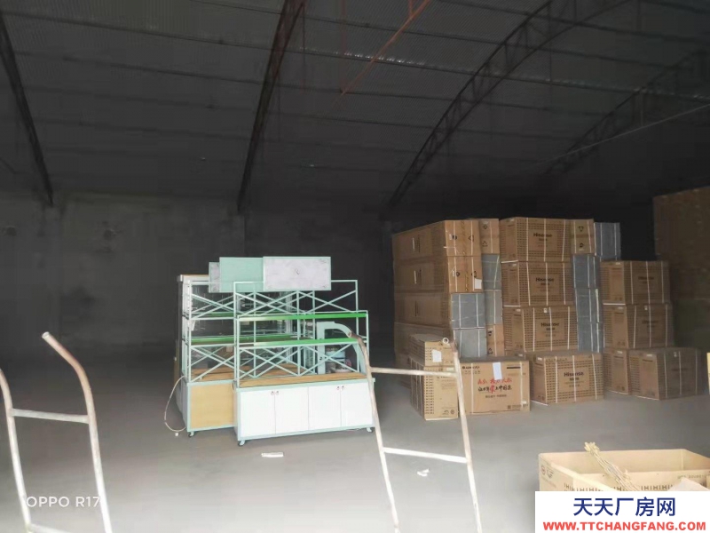 定州 南城(出租) 交通便利 水電齊全 大車進出方便